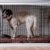 dobar 35242 Großer Hundekäfig aus Holz mit Tischoberfläche für innen, Hundebox Indoor, L, weiß - 7