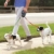 Doppelte Einziehbare Hundeleine Makife Dual Doggie Pet Leash Hundeleine Automatische Hund Versenkbar Leine, Einziehbare 3m Geeignet für Kleine und Mittelgroße Hunde Wandern Joggen 15pcs Hundekotbeutel - 2