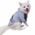Eastlion Adidog Hund Pullover Welpen-T-Shirt Warm Pullover Mantel Pet Kleidung Bekleidung, Schwarz, Gr. XL - 6