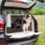 Ferplast Autotransportbox Atlas Car 100 für Hunde und Katzen – Tiertransportbox aus Kunststoff mit praktischer Zwei-Wege-Schiebetür und Zubehörfach - für Tiere bis zu 40 kg – Maße: 100 x 60 x 66cm - 2