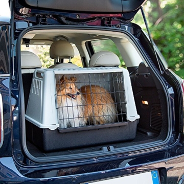 Ferplast Autotransportbox Atlas Car Mini für Hunde und Katzen – Tiertransportbox aus Kunststoff mit praktischer Zwei-Wege-Schiebetür - für Tiere bis zu 10 kg – Maße: 72 x 41 x 51cm - 3
