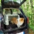 Ferplast Autotransportbox Atlas Car Mini für Hunde und Katzen – Tiertransportbox aus Kunststoff mit praktischer Zwei-Wege-Schiebetür - für Tiere bis zu 10 kg – Maße: 72 x 41 x 51cm - 9