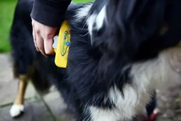 FURminator deShedding Hunde-Pflegewerkzeug zur Fellpflege - Hundebürste in Größe L zur gründlichen Entfernung von Unterwolle und losen Haaren - für langhaarige Hunde - 4
