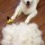 FURminator deShedding Hunde-Pflegewerkzeug zur Fellpflege - Hundebürste in Größe L zur gründlichen Entfernung von Unterwolle und losen Haaren - für langhaarige Hunde - 5