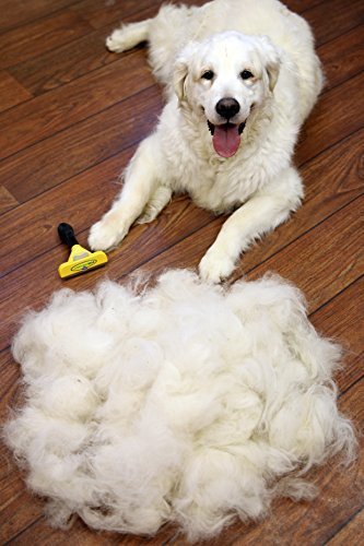 FURminator deShedding Hunde-Pflegewerkzeug zur Fellpflege - Hundebürste in Größe L zur gründlichen Entfernung von Unterwolle und losen Haaren - für langhaarige Hunde - 5