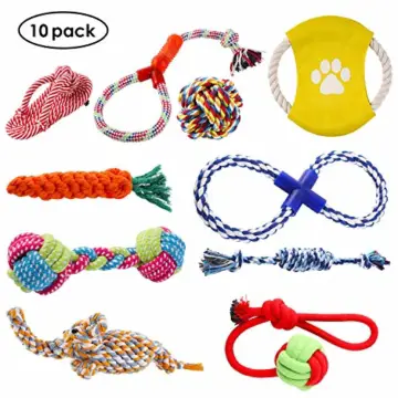 PEDY Hundespielzeug Set,Hundeseile, interaktives Spielzeug,Pet Rope Spielzeug,mit verschiedenen Farbe und Form, geeignet für kleine und mittelgroße Hunde (10 Stück ) - 1