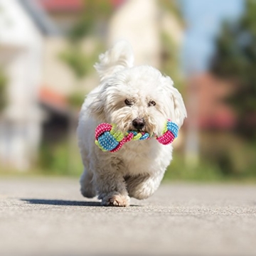 PEDY Hundespielzeug Set,Hundeseile, interaktives Spielzeug,Pet Rope Spielzeug,mit verschiedenen Farbe und Form, geeignet für kleine und mittelgroße Hunde (10 Stück ) - 6