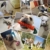 PEDY Hundespielzeug Set,Hundeseile, interaktives Spielzeug,Pet Rope Spielzeug,mit verschiedenen Farbe und Form, geeignet für kleine und mittelgroße Hunde (10 Stück ) - 7