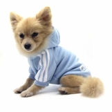 QiCheng&LYS Hundemantel Adidog Hund Hoodies Kleidung, Pet Puppy Katze Niedlicher Baumwoll Warm Hoodies Coat Pullover (M, blau) - 1