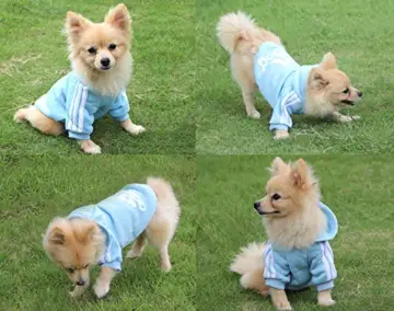 QiCheng&LYS Hundemantel Adidog Hund Hoodies Kleidung, Pet Puppy Katze Niedlicher Baumwoll Warm Hoodies Coat Pullover (M, blau) - 6