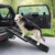 TecTake 403247 Hunderampe Auto, ausziehbare Einstiegshilfe für Hunde, Teleskop Hundetreppe, Autorampe aus Holz, rutschfest, 165 x 43 cm, belastbar bis 80 kg - 2