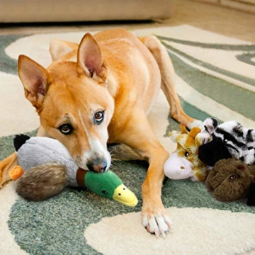 Toozey 5 Stück Quietschende Spielzeug für Hund - DREI Füllungsfreie Hundespielzeuge und Zwei Plüschtierspielzeuge mit Füllung - Sicher&Ungiftig Kauspielzeug für Kleine und Mittel Hunde - 7