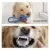 Toozey Welpenspielzeug - 7 STK Langlebiges Hundespielzeug für Welpen/kleine Hunde - Kauspielzeug und Quietschspielzeug mit Wäschesack - Naturbaumwolle & Ungiftig - 5